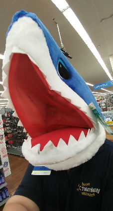 20170811_205344 20170811_205344